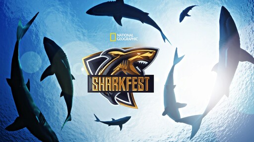 How to watch SharkFest 2023: National Geographic's month of shark