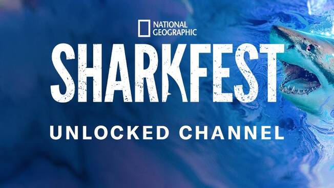 National Geographic's SHARKFEST Unlocked Channel Is Now Streaming ...