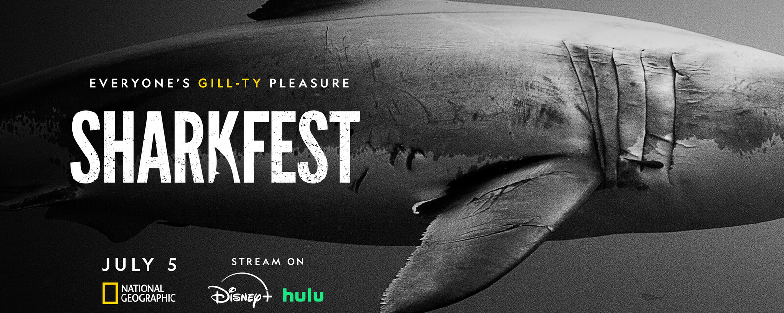 Sharkfest 2025 Kicks Off Saturday, July 5 @ 8/7c on National Geographic ...