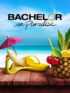 Watch the bachelor online online free