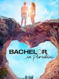 About The Bachelor Tv Show Series about the bachelor tv show series