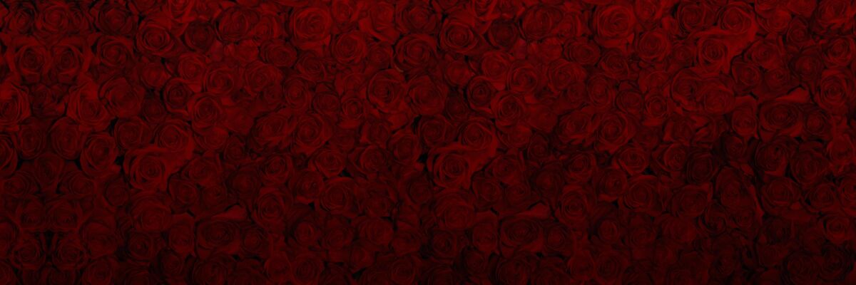 The Bachelor on Jimmy Kimmel Live