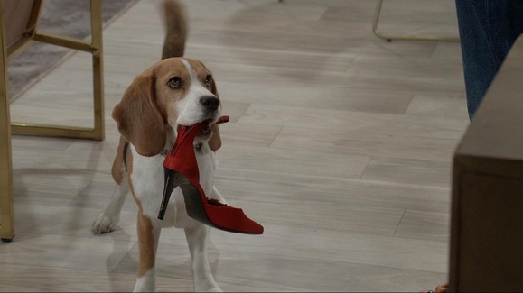 GH Sneak: 'That's my shoe!'