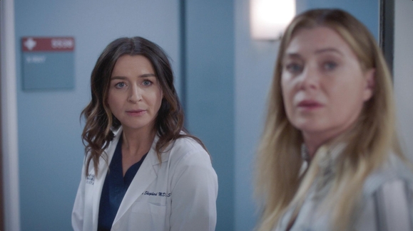 WATCH: Amelia Asks Meredith About the Funding Video | Grey's Anatomy