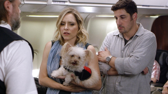 Teets on a Plane
