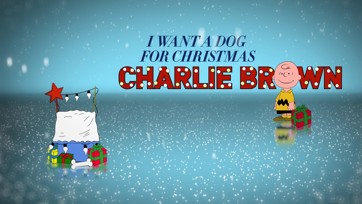 I Want a Dog for Christmas, Charlie Brown!