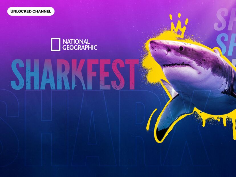 SharkFest: Unlocked Channel