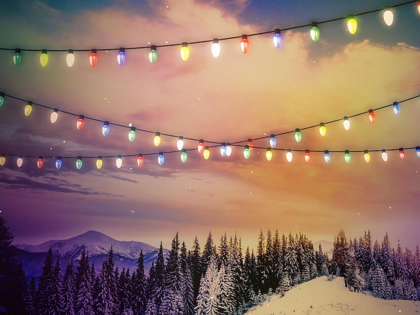 The Great Christmas Light Fight