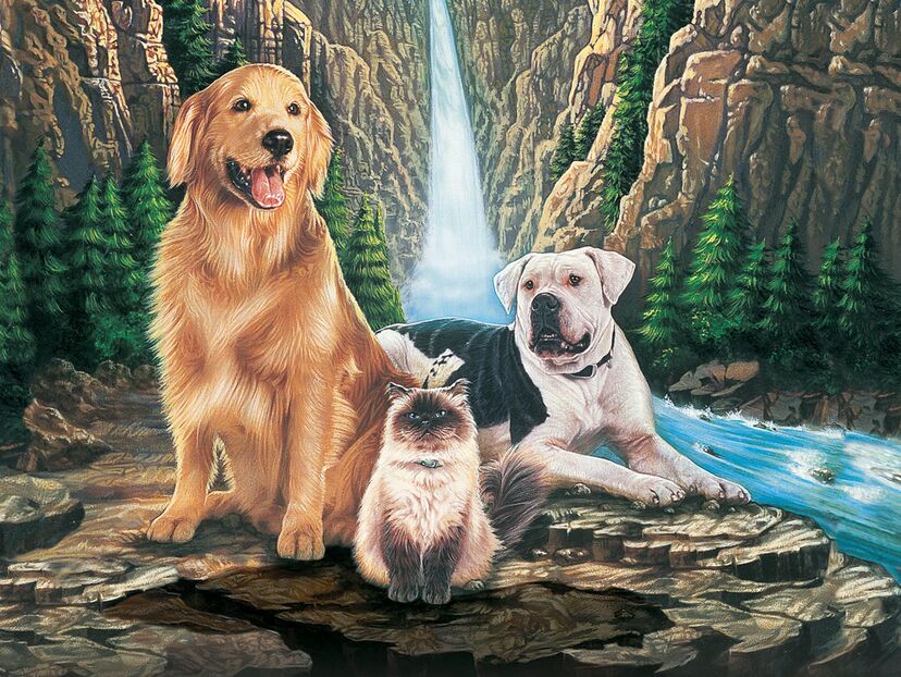 Homeward Bound: The Incredible Journey