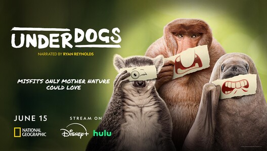 Watch the 'Underdogs' Premiere on National Geographic & ABC Sunday, June 15