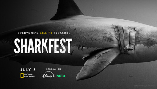 Sharkfest 2025 kicks off Saturday, July 5. Stream on Disney+ & Hulu.