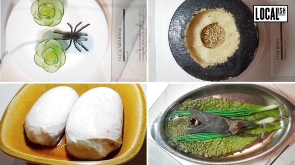 WATCH: The Most Disgusting Museum Ever Video | My Go-To