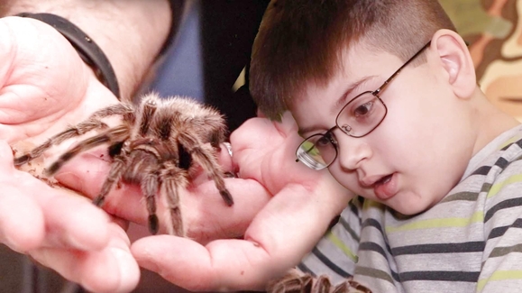 'Bugs rule the world' at Insectropolis in Toms River, New Jersey