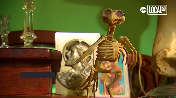 Part museum and part store, the Oddporium specializes in oddities and collectibles