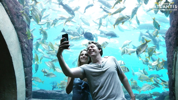 Behind the Scenes at Atlantis Paradise Island, Bahamas