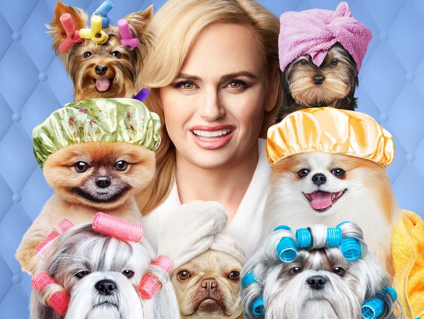 Pooch Perfect
