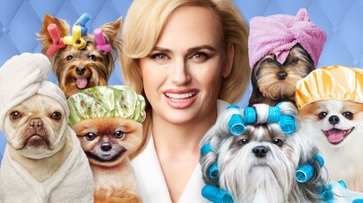 Watch Pooch Perfect Tv Show Abc Com
