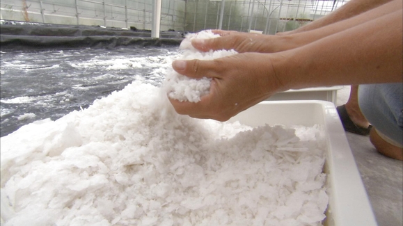 WATCH: How Salt Gets from the Sea to Your Salt Shaker Video | Secretly ...