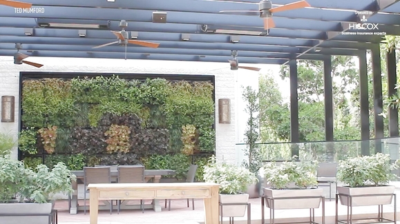 Bring the Positive Effects of Nature Indoors with Good Earth Plants