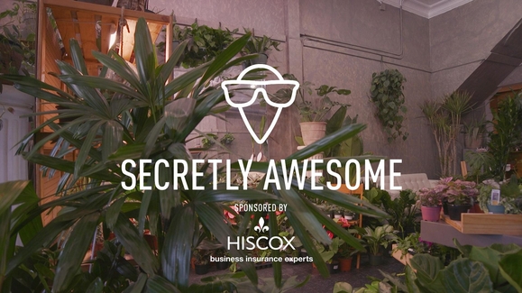 Pilsen plant shop growing community 1 seed at a time