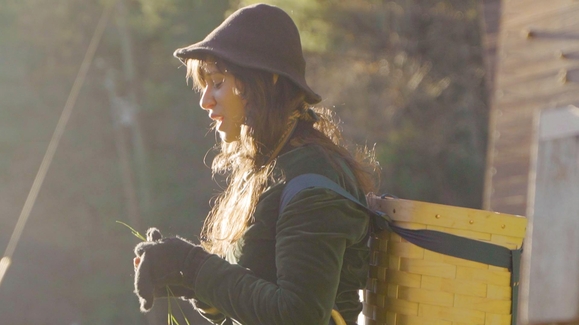 Foraging wild foods with the experts at No Taste Like Home