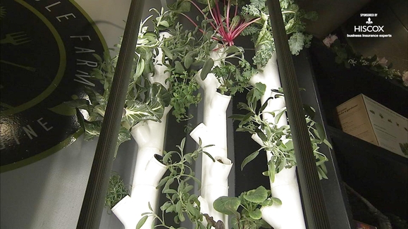 The Sustainable Farm connects people to food they eat