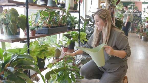 This small business is spreading joy through house plants