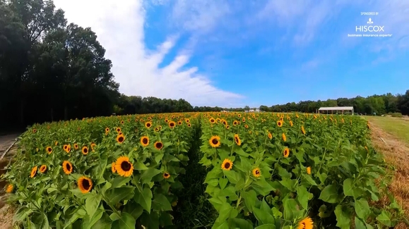 The Legacy of Open Spaces: Dalton Farms
