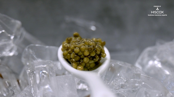 Leading the Charge in Sustainable Caviar Production at America's only Russian Osetra Sturgeon Caviar Farm