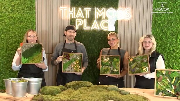 Moss Acres in New Jersey creates beautiful art with often-overlooked plant