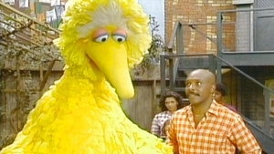 Sesame Street: 50 Years of Sunny Days