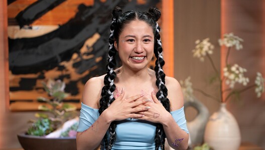 The Businesses and Products from Season 17, Episode 14 of Shark Tank