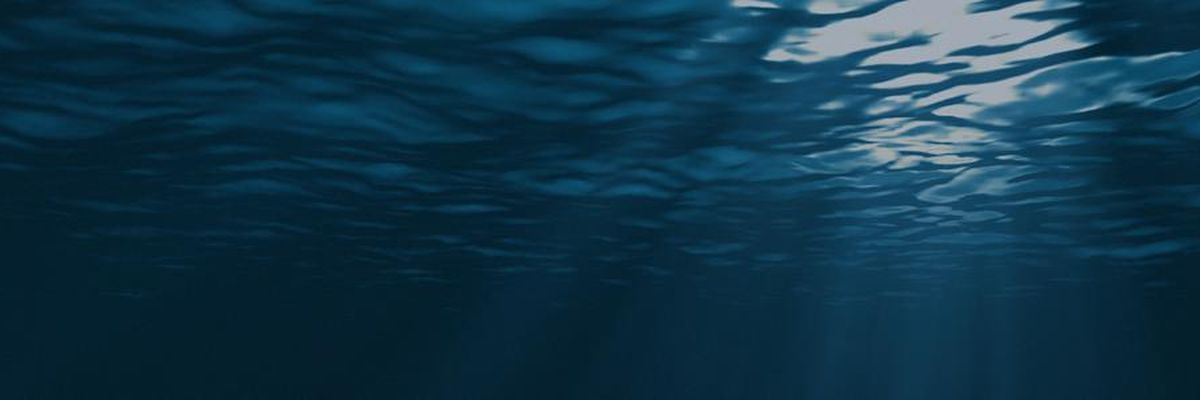 Want More Shark Tank?