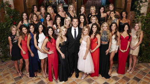 Be a Contestant on The Bachelor Season 20