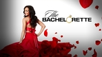 The Bachelor - Season 13 - IMDb