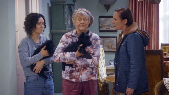 Watch The Conners Season 6 Episode 2 Valentine's Day Treats and Credit Card Cheats Online - Vimarsana News