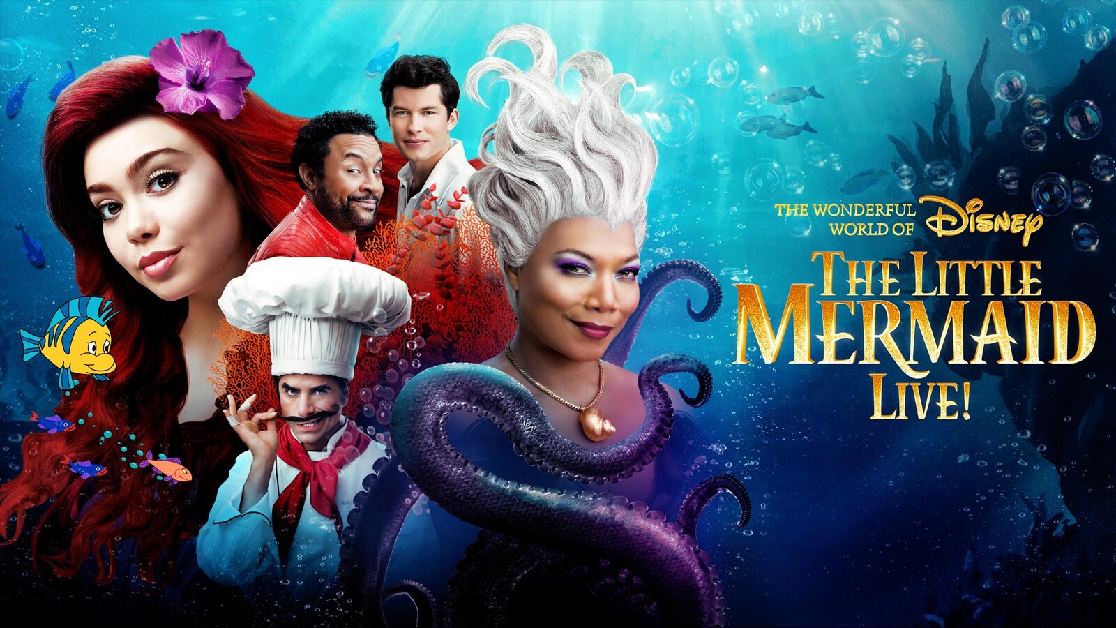 Watch The Wonderful World of Disney Presents The Little Mermaid Live! TV  Show 