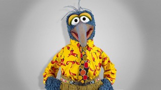The Great Gonzo | The Muppets