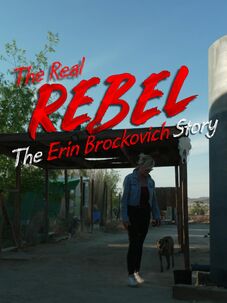 The Real Rebel: The Erin Brockovich Story