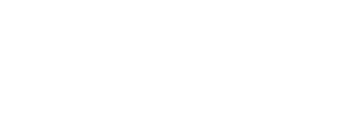 The Rookie The Rookie