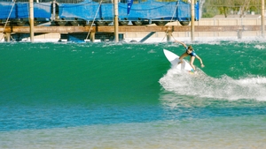 Will You Accept This Wave?