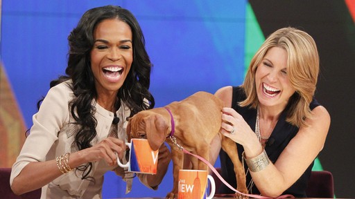 nicole wallace weight loss nicole wallace weight loss