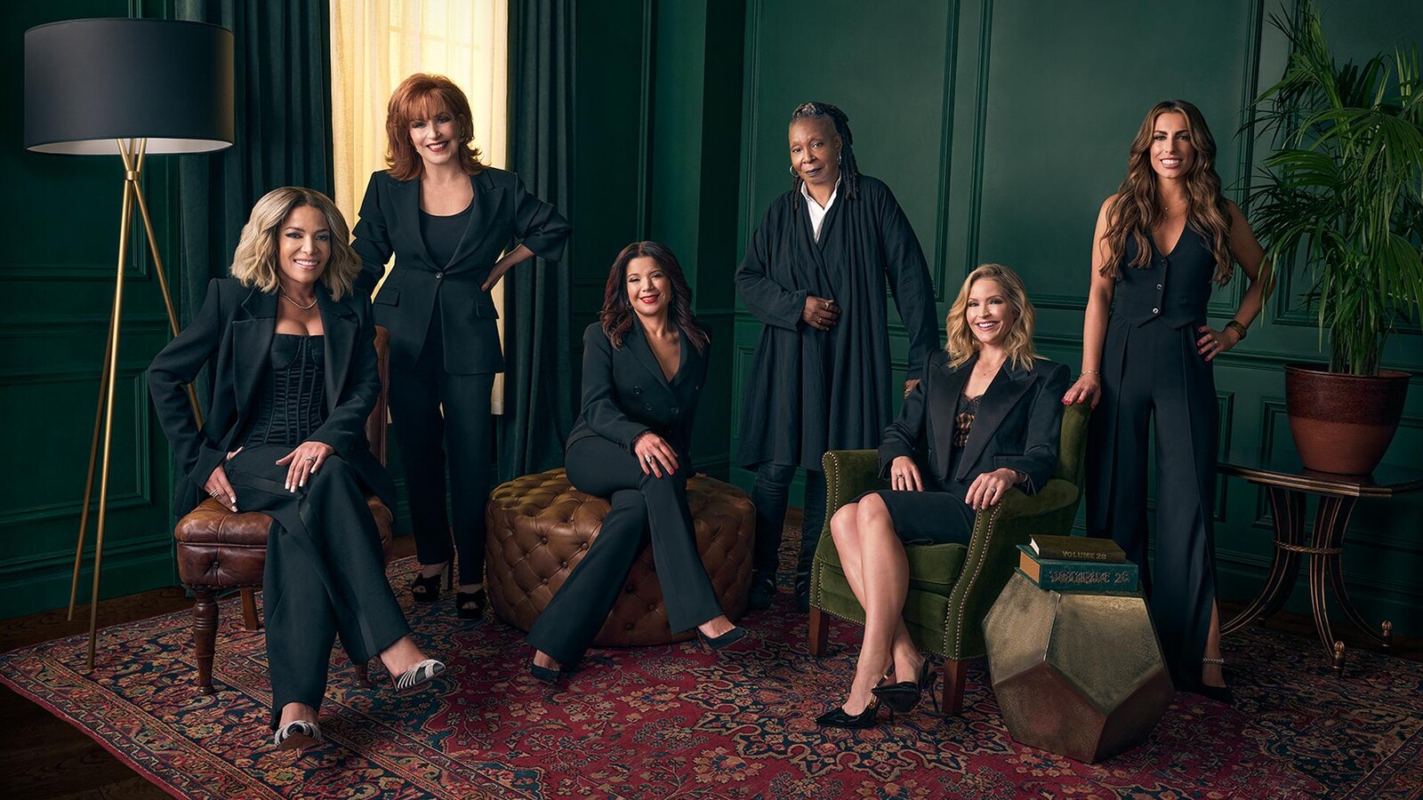 About The View TV Show Series
