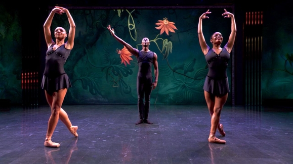 Dance Theatre of Harlem performs 'African Waltz' for Sunny Hostin's birthday