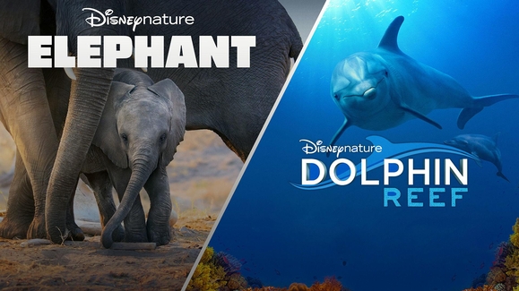 WATCH: Disneynature's Elephant & Dolphin Reef | Trailer | freeform