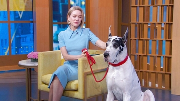 Watch Good Morning America Season 15 Episode 84 Tue, Mar 25, 2025 ...