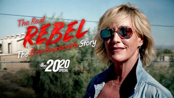 The Real Rebel: The Erin Brockovich Story 