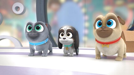 Disney jr puppy fashion dog pals