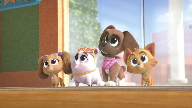 Watch Puppy Dog Pals TV Show | Disney Junior on DisneyNOW