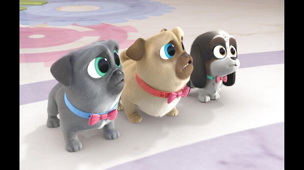 Watch Puppy Dog Pals TV Show | Disney Junior on DisneyNOW